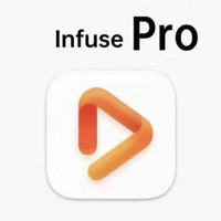 Infuse pro终身拼车