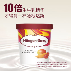 哈根达斯 冰淇淋 多口味可选 460ml