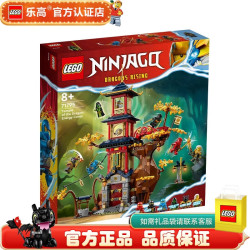 乐高 幻影忍者Ninjago 儿童拼装积木玩具 男孩女孩礼物  71795 神龙能量核神殿