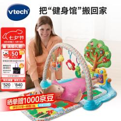 vtech 脚踏架 婴儿架