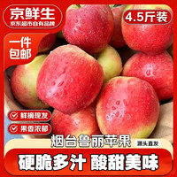 京鲜生 山东鲁丽苹果4.5斤单果160克新鲜水果 源头直发包邮