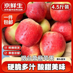 京鲜生 山东鲁丽苹果4.5斤单果160克新鲜水果 源头直发包邮