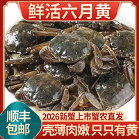 乾蟹汇 网兜蟹鲜活小螃蟹六月黄河蟹净重足重淡水公母大闸蟹生鲜 二元蟹[0.4-0.6两]20只+2只备损