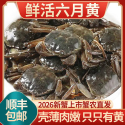 乾蟹汇 网兜蟹鲜活小螃蟹六月黄河蟹净重足重淡水公母大闸蟹生鲜 二元蟹[0.4-0.6两]20只+2只备损