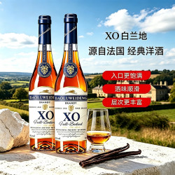 宝路威登 白兰地XO洋酒700mL*2瓶