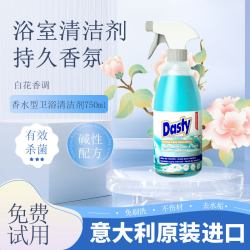 DASTY 意大利进口dasty喷头花洒浴室清洁剂去污卫生间除水垢