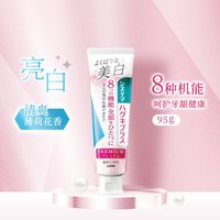 狮王 日本 lion 狮王Systema系列 高级护理牙膏 95g