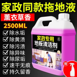 家可美 地板瓷砖清洁剂不留水印拖地专用清洁液强力去污抛光杀菌清洗剂の