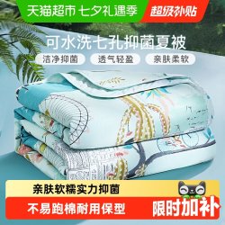 富安娜 梦幻小时光 七孔抗菌夏被