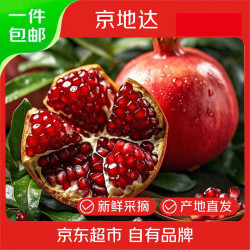京地达 四川突尼斯软籽甜石榴净重3斤装单果250g+新鲜水果源头直发包邮