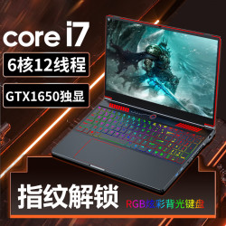 霆硕 16.1英寸酷睿i7-8750H + 4G独显GTX1650 64G高频内存+1024G高速固态盘