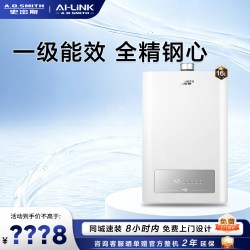 A.O.SMITH A.O.史密斯 VJSX系列 零冷水燃气热水器
