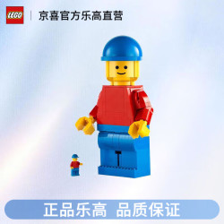 乐高 40649 放大版乐高小人仔