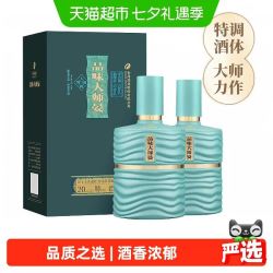 舍得 酒品味大师晏浓香型白酒52度500ml*2瓶双支节日送礼宴请婚宴