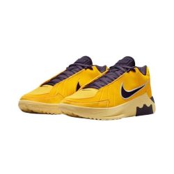 NIKE 男鞋 LEBRON WITNESS减震耐磨篮球鞋HQ8035-700