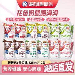 海河乳业 海河（HAI  HE）牛奶儿童营养早餐奶天津海河网红风味奶 捏捏包新口味混合装12* 125ml