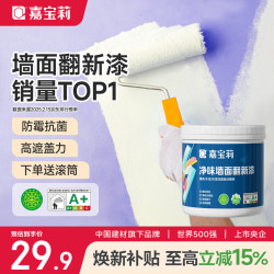 嘉宝莉 墙面补墙漆 白色 1kg