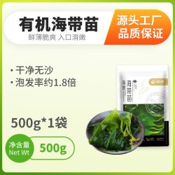 溢源 福建霞浦有机盐渍海带苗 500g