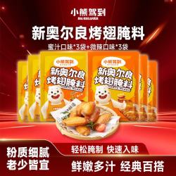 Bear Coming 沙司腌料组合装 450g（番茄沙司240g+新奥尔良烤翅腌料 微辣味35g*3袋+新奥尔良烤翅腌料 蜜汁味35g*3袋）