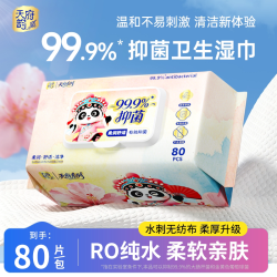 天府韵 80抽大包抑菌湿巾99.9%抑菌婴儿湿巾纸带盖新生宝宝湿巾纸实惠装