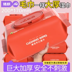 婧麒 婴儿湿巾巨大加厚家庭用80抽宝宝手口屁大包装新生专用湿纸巾