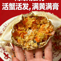 三蟹岛 莱州梭子蟹 鲜活野生母蟹 生鲜海蟹