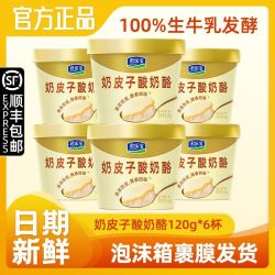 君乐宝 奶皮子酸奶酪120g*6杯低温聚会 零食酸奶