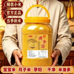新米黄小米煮粥小黄米月子罐装小米黄金谷小米杂粮