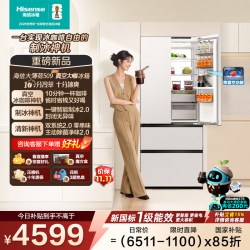 海信 大薄荷Pro系列 BCD-509E7SFZSD 自动制冰超薄零嵌入冰箱