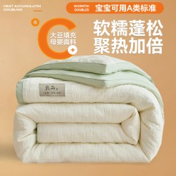 奥若拉 A类大豆纤维被子冬被棉被芯冬季加厚保暖单人学生宿舍冬被
