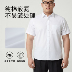 TTS DHFS/天坛 纯棉大码短袖白衬衫