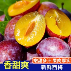 琪江果 甘肃新鲜西梅 西梅净重4.5斤单果15g+
