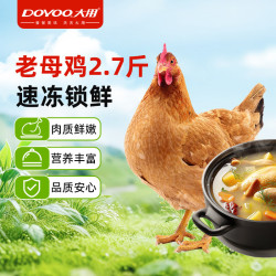 大用 农家散养 老母鸡  老母鸡2.7斤 1.35kg 袋装