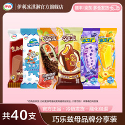 伊利 巧乐兹冰工厂大布丁奶提子芋泥糯兹兹四个圈 共50支（3210g）