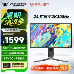 蚂蚁电竞 ANT253PQ 24.5英寸 IPS G-sync FreeSync 显示器（2560×1440、300Hz、99% DCI-P3、HDR400）