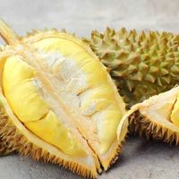 顺丰金枕榴莲正宗新鲜单果带壳水果包邮