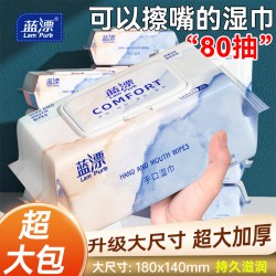 蓝漂 湿巾纸婴儿手口专用80抽大包家用家庭实惠装儿童柔韧亲肤清洁纸巾