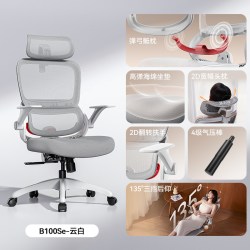 西昊 B100Lite 人体工学椅
