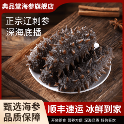 典品堂 即食海参鲜食海参 即食海参20根(约8cm/根)