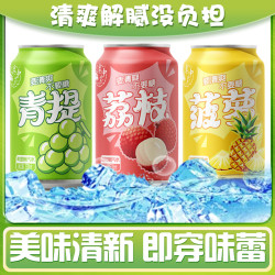 元气果味汽水畅饮装冰镇劲爽气泡水冬日火锅饮品畅饮装