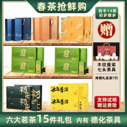 强韵 六大茗茶丨黄金芽+龙井+碧螺春+普洱+大红袍+肉桂到手14条+茶具