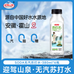 迎驾贡酒 迎驾山泉石斛味无汽苏打水清甜爽口380ml/瓶
