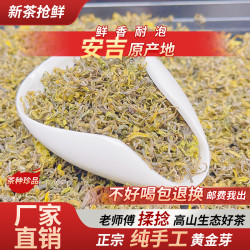 新茶安吉黄金芽茶叶高海拔产区手工绿茶浙江安吉正宗白茶