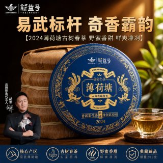 新益号 云南冰岛普洱茶生茶叶直播2024薄荷塘春茶高级古树茶叶店铺
