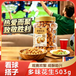 浙梅 多味花生503g下酒菜脆皮炒货罐装小吃怀旧零食BD