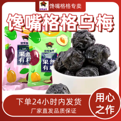 馋嘴格格 酸甜乌梅干果干蜜饯梅子酸梅汤原材料泡水梅子