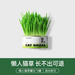 俘获 F2小麦猫草种植猫草盆栽懒人猫草罐头幼猫咪助化毛草薄荷片膏