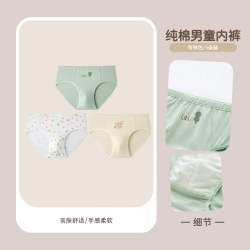 拉比 童装内裤25四季男童纯棉男童内裤三角3条装