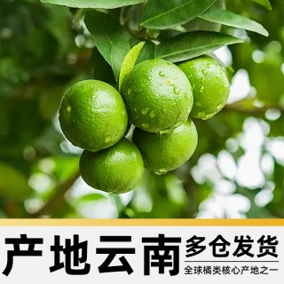 淘金币可用、今日必买、88VIP：京运达 云南高山青皮蜜桔橘子应当季新鲜水果 50mm+  3斤