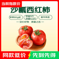 沙瓤西红柿 囤货装 5斤 带箱